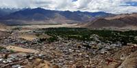 Leh3
